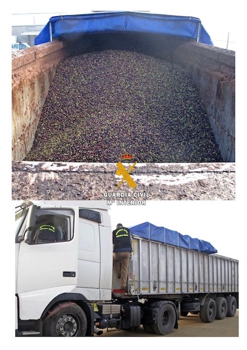 La delegada del Gobierno en Extremadura anuncia la desarticulación de un grupo delictivo dedicado al robo de aceitunas en cooperativas y puntos de compraventa