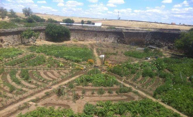 La Fiesta Gastronómica de las Coles con Buche acoge una ruta guiada por la Ribera de Huertas