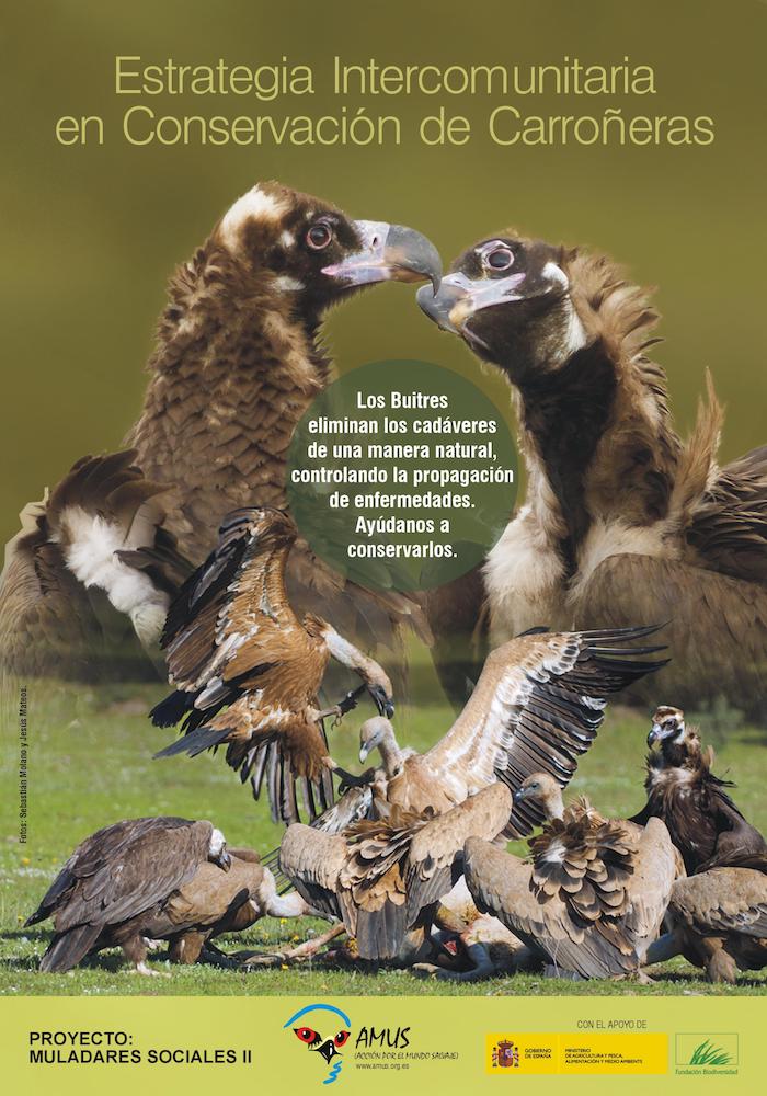 El próximo 18 de febrero ve la luz una importante campaña de sensibilización sobre los buitres en el marco del proyecto 'Muladares sociales II'