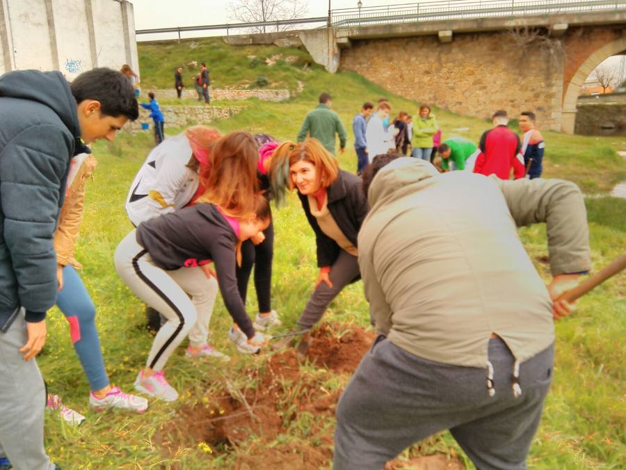 Alumnos del IES Luis de Morales han participado en la reforestación de la zona del río Pontones