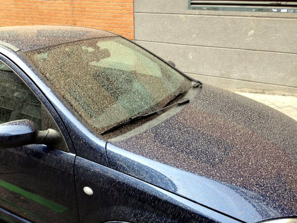 Lluvia de barro ayer en la localidad