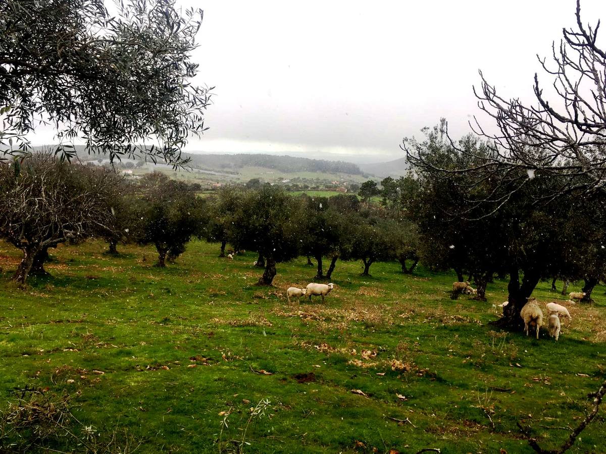 El descenso de las temperaturas y las posibles nevadas marcan el comienzo de la primavera en el municipio