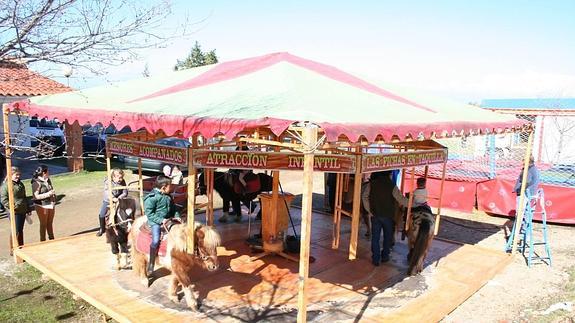 Campanario es declarado municipio libre de circos y atracciones de feria con animales