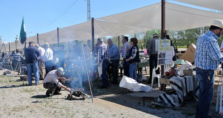 Record en la Fiesta de la Chanfaina con 124 peñas inscritas