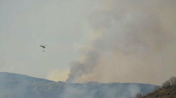 Medios aéreos tratan de apagar un incendio declarado en el Jerte