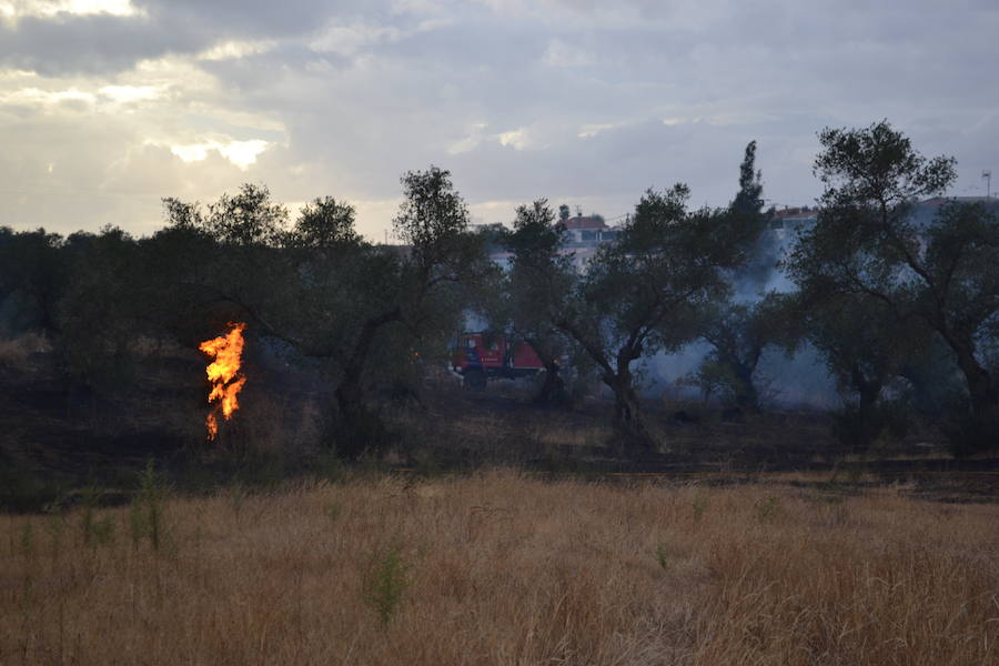 La Junta de Extremadura declara ya la Época de Peligro Medio de incendios forestales