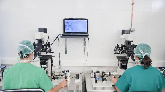 El Centro de Cirugía de Mínima Invasión forma a 18.500 sanitarios en sus 10 años