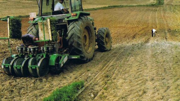 Extremadura planteará una nueva PAC que regule la figura del agricultor activo