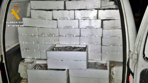 La Guardia Civil interviene más de 500 kilogramos de pescado no apto para el consumo