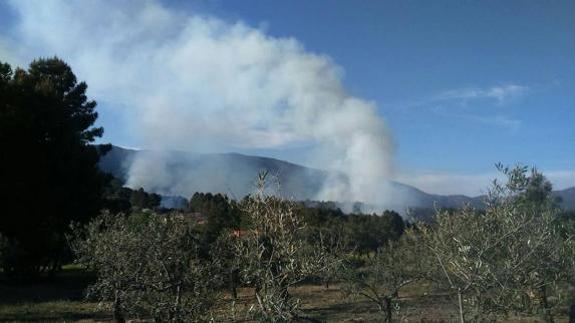 La Junta limita la prohibición de quemas de espacios forestales a 400 metros