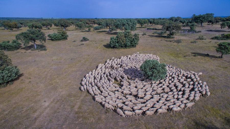 El campanariense Javier Simón gana el concurso 'Foto Dehesa'