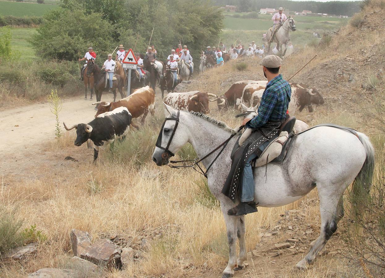 Abierto el plazo de inscripción para jinetes