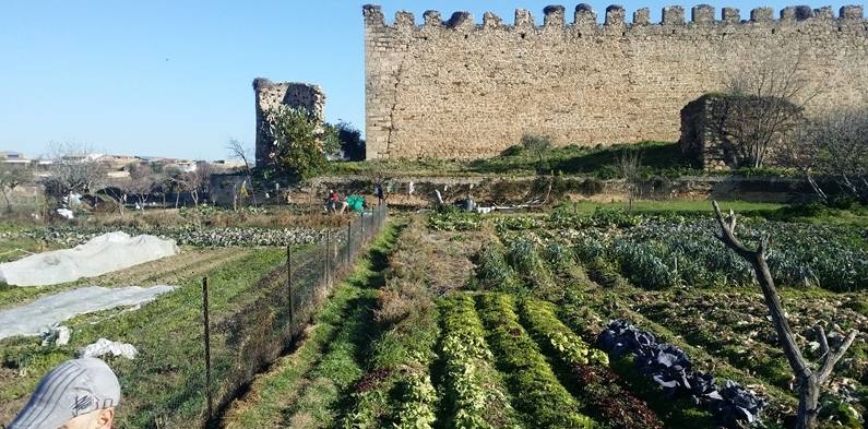 Numerosas actividades celebran la Semana del Medio Ambiente