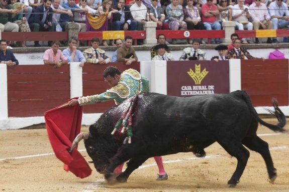 Triunfal regreso de los toros a Cáceres