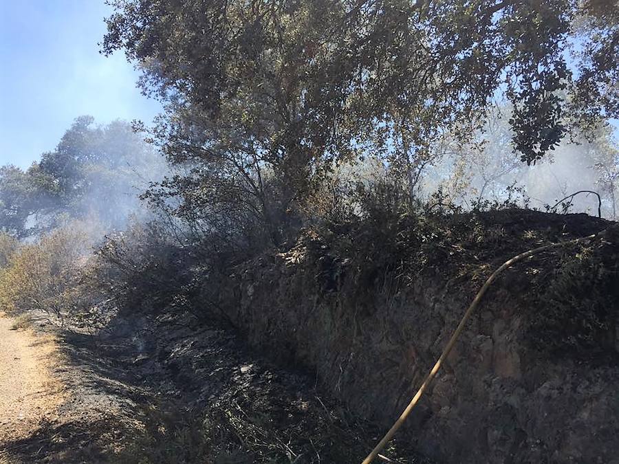 El primer incendio de la temporada se ha producido en la finca 'Las Lapas'