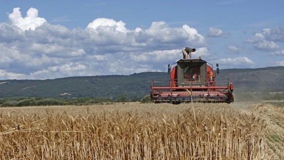 Un bando municipal pide redoblar el cuidado en los solares y las parcelas aledañas al casco urbano para evitar riesgo de incendio
