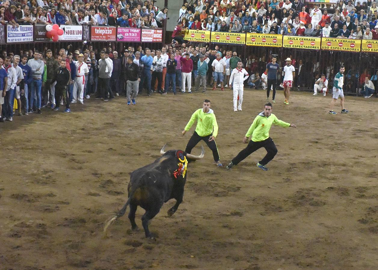 Carambola, toro lidiado en la madrugada del día 28