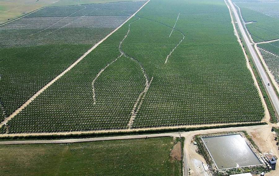 El proyecto de transformación en regadío de la finca Comunal de Villanueva del Fresno abierto a información pública