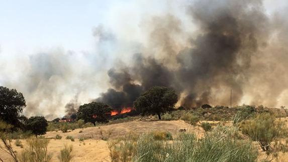 Efectivos del Infoex trabajarán toda la noche en el control de un incendio en Puebla del Maestre