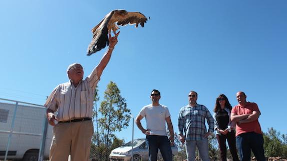 El comedero de la Sierra Grande de Hornachos ha logrado que bastantes buitres acudan en busca de comida abundante y diversa