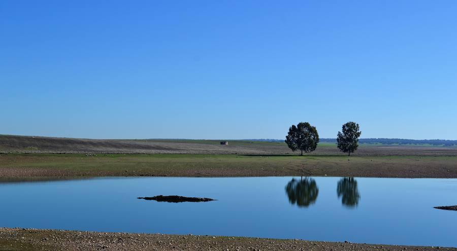 La Sociedad 'Alcarrache' organiza el concurso de pesca de la Feria de San Ginés
