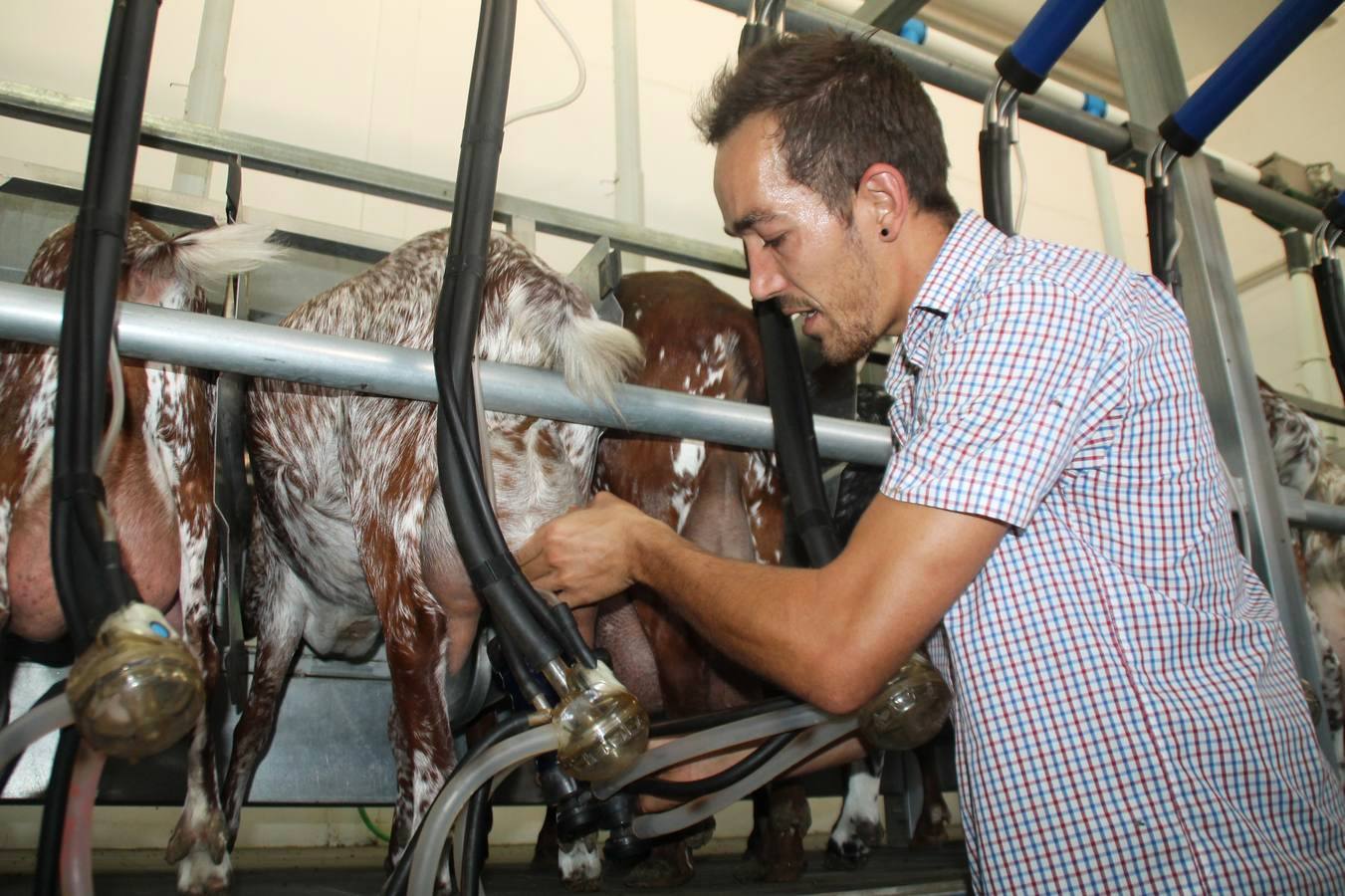Ismael Sánchez Garrido, un joven jerezano que ha emprendido en el ámbito ganadero
