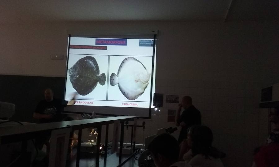 Por tercer año consecutivo los jóvenes asistirán a la Noche Europea de los Investigadores