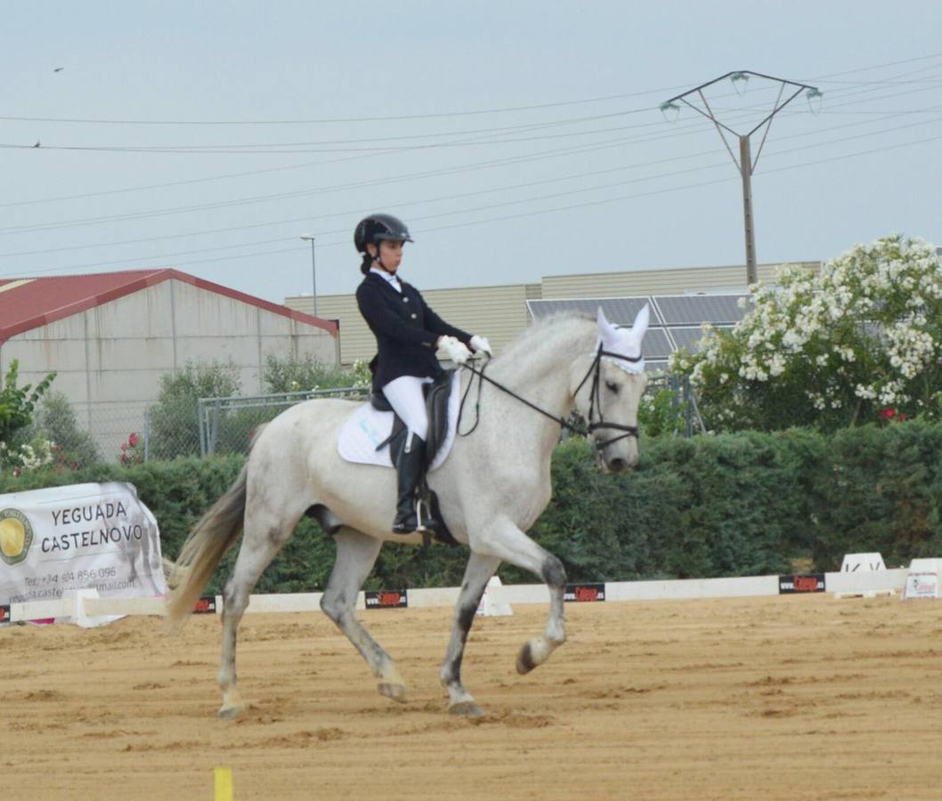 Una amazona que apunta alto