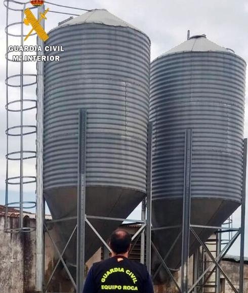 Investigados 4 antiguos trabajadores de una explotación ganadera por la sustracción de más de 18.000 Kg. de pienso