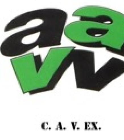 CAVEX se solidariza con los Cuerpos y Fuerzas de Seguridad del Estado