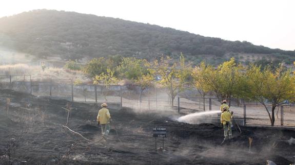 Nueva actuación de efectivos ante un incendio de pastos