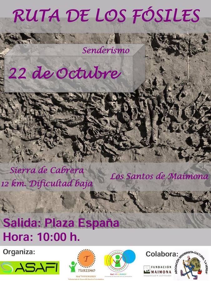 El próximo domingo se celebrará la 'ruta de los fósiles'
