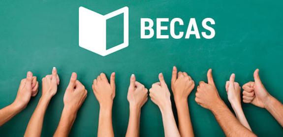 La ODP critica la convocatoria de ocho becas de formación para jóvenes de postgrados