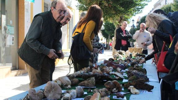 La micología y la caza, protagonistas del próximo fin de semana
