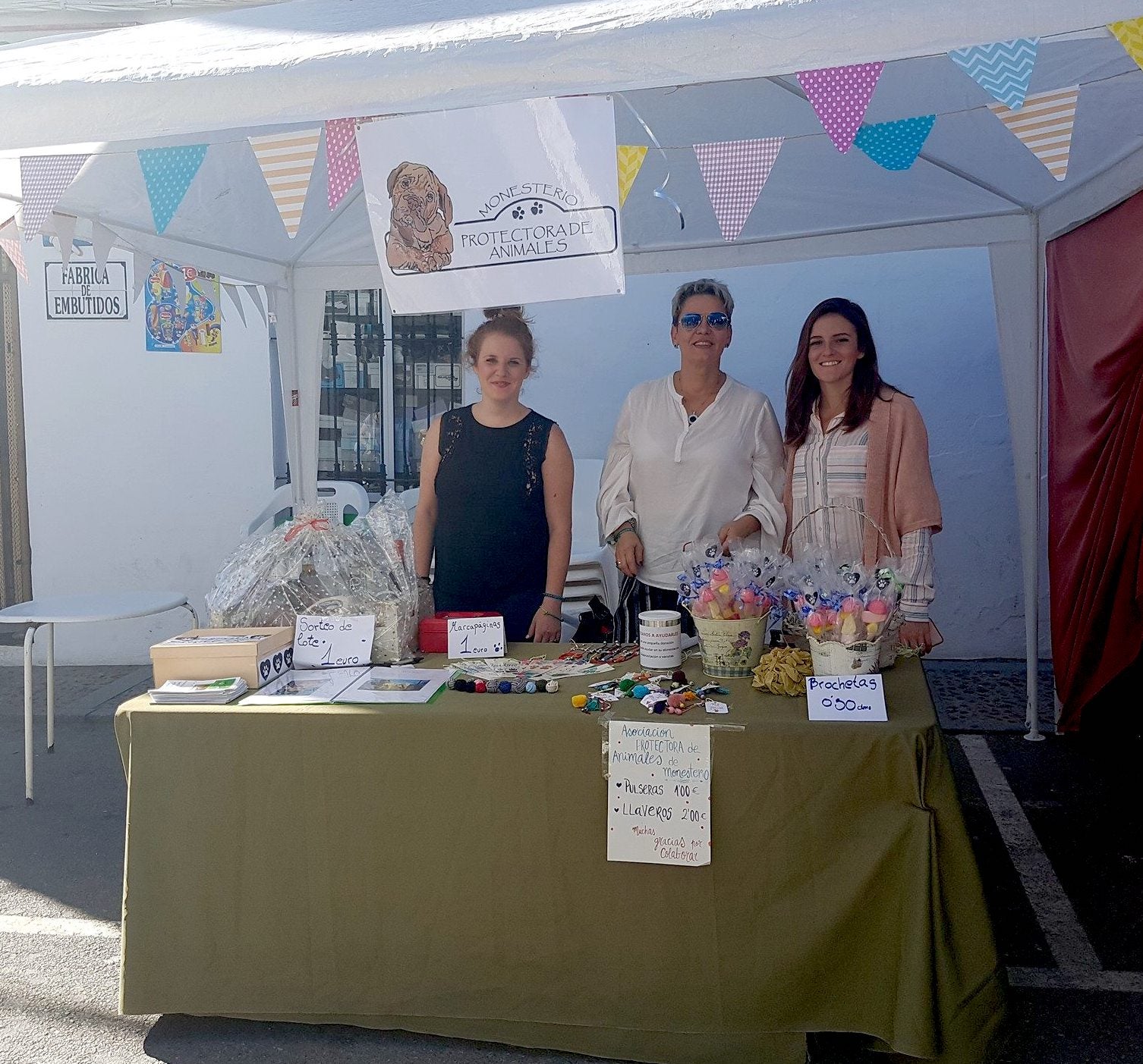 Esta tarde, festival canino solidario para recaudar fondos