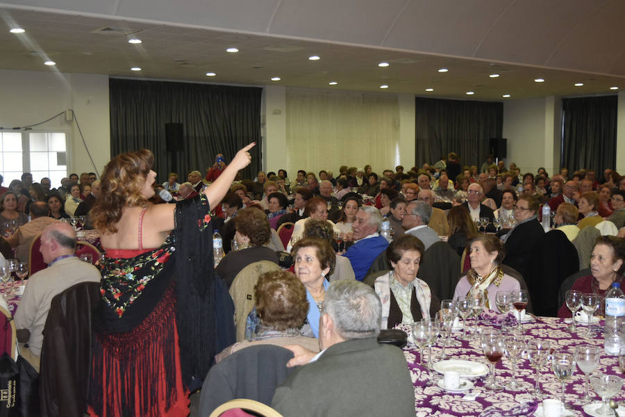 Cerca de 350 asitentes participaron en los actos del Día del Mayor