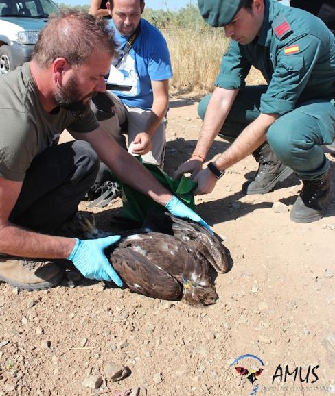 AMUS organiza una jornada sobre técnica forense y policial aplicada a la investigación de delitos contra la fauna