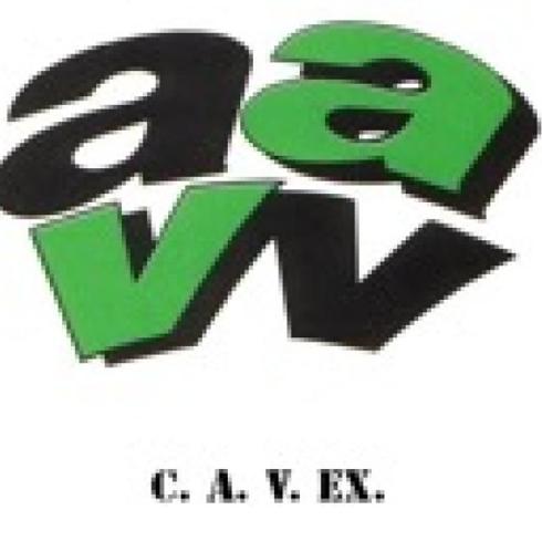 CAVEX le pide a la Junta la implicación de esta confederación en el plan de acción 'Energía por Derecho', auspiciado por la CEAV