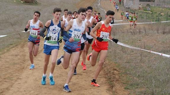 Burjassot, Gijón y Antequera serán las citas del CAPEX este fin de semana