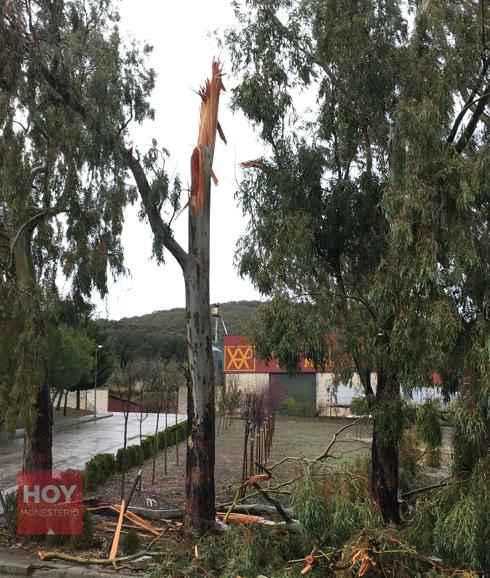 El temporal de lluvia y viento deja algunas incidencias