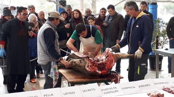 La Matanza Tradicional del Cerdo Ibérico, todo un éxito a pesar de la lluvia