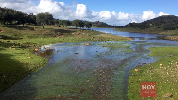 El pantano de Tentudía supera ya el 80 por ciento de agua embalsada