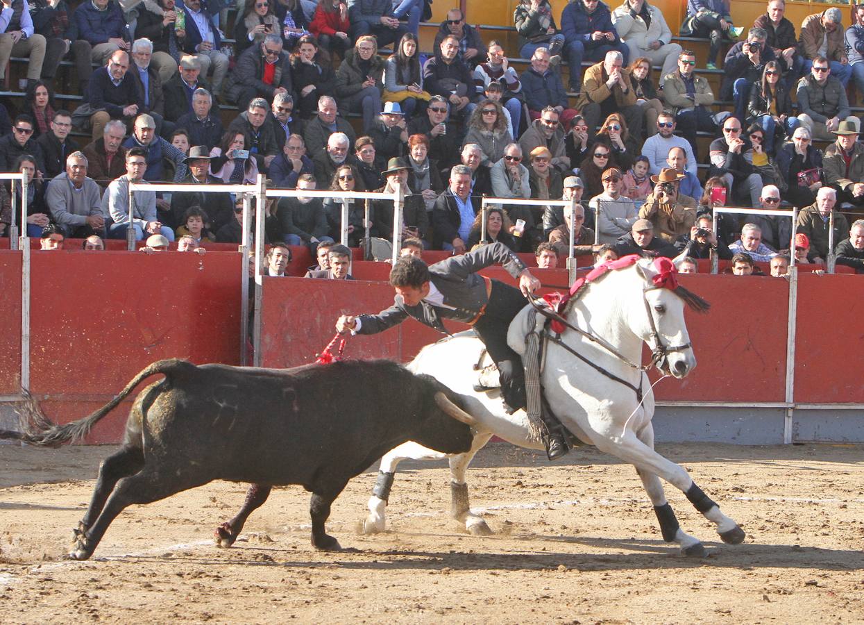 Ocho orejas en un entretenido festival taurino en Coria
