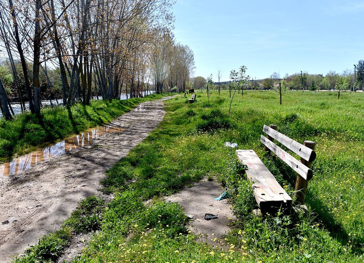 Alumnos de institutos y colegios limpiarán el domingo las orillas del río Alagón