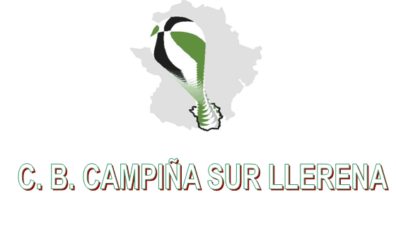 Concentración de minibásket de los alevines del C.B Campiña Sur