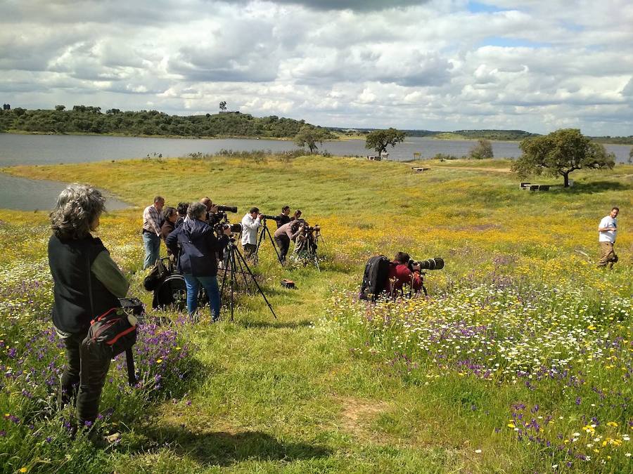 El taller de aves rapaces del Centro de Formación de Alqueva reunió a 14 fotografos