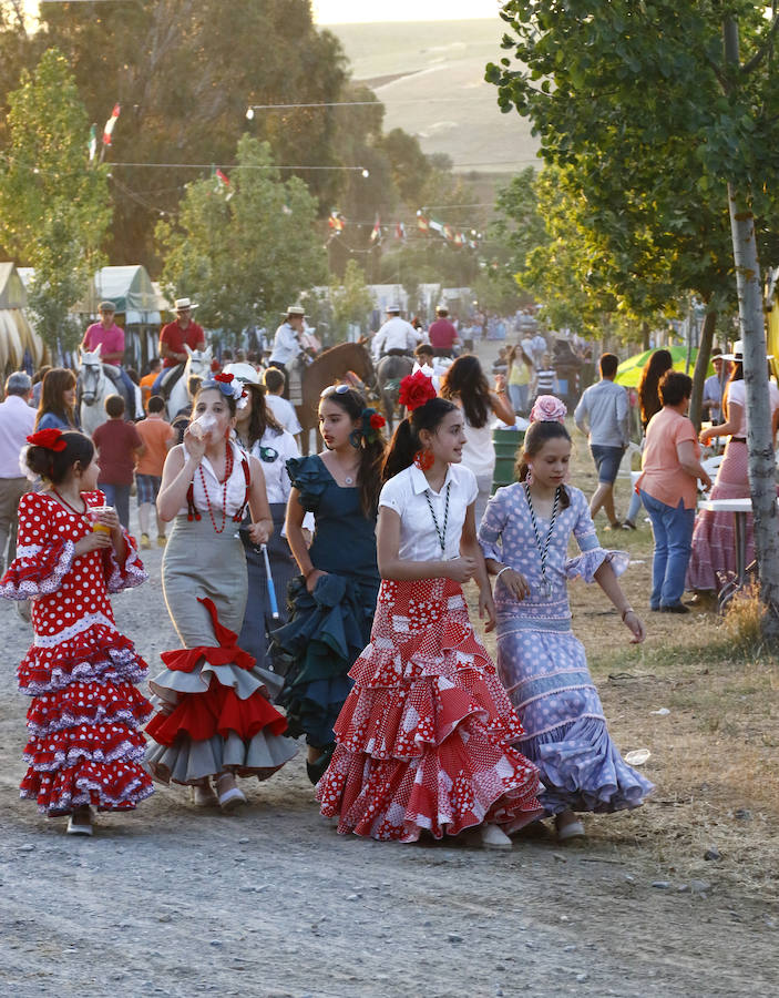San Isidro, fraternidad y alegría