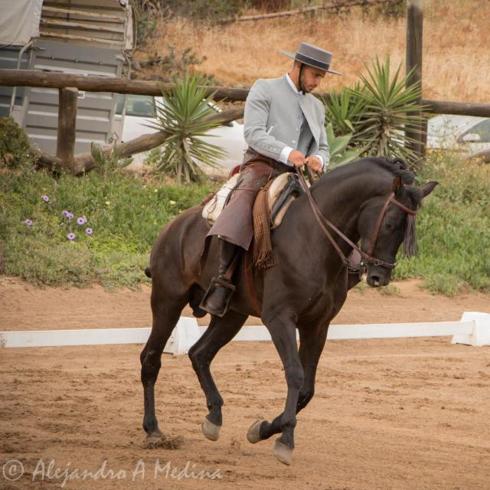 Sergio Guisado, quinto en el Campeonato nacional de doma vaquera en Gran Canaria