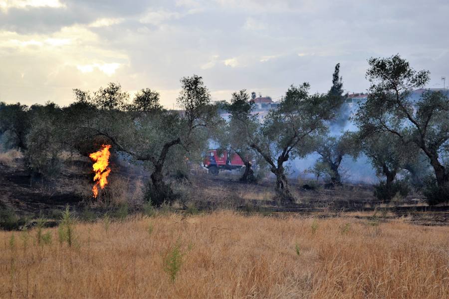 La Junta de Extremadura declara Época de Peligro Alto de incendios forestales
