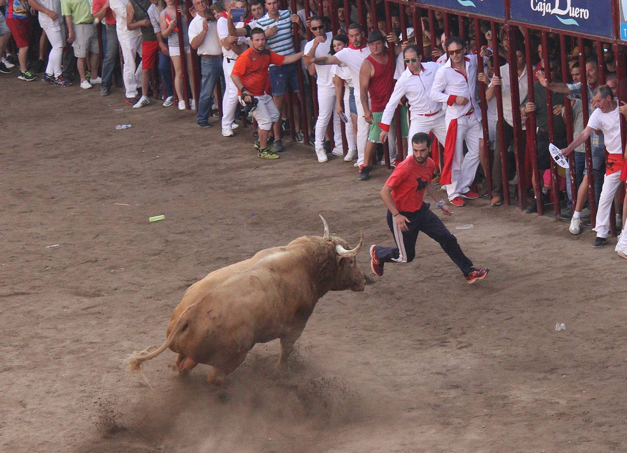 El fuerte calor hizo mella en la lidia del toro Rayito lidiado en la tarde del 24